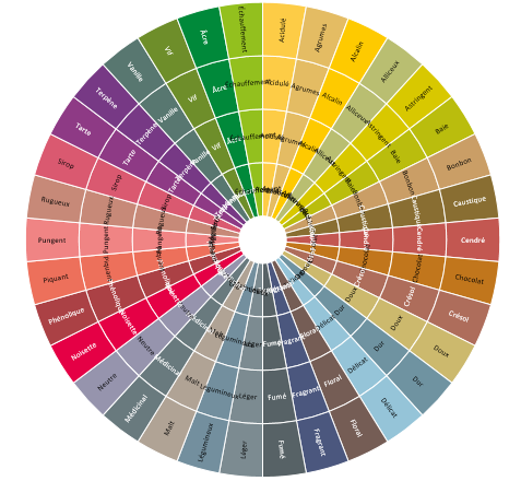 XLSTAT roue sensorielle brute
