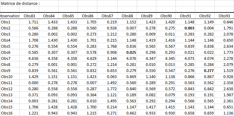 Appariement des coefficients de propension dans Excel et XLSTAT, matrice de distance