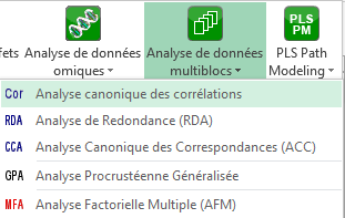 XLSTAT menu Analyse de Données Multiblocs Analyse Canonique des Corrélations FR
