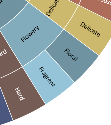 XLSTAT sensory wheel merged section