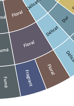 XLSTAT roue sensorielle section fusionnée