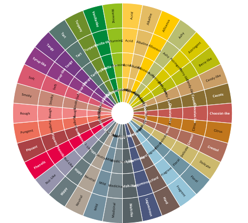 XLSTAT raw sensory wheel