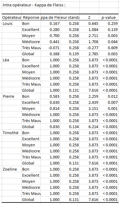Analyse de systÃ¨mes de mesures Gage RR avec Excel et XLSTAT, rÃ©sultats 3 Kappa de Fleiss