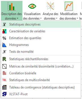 XLSTAT menu description des données